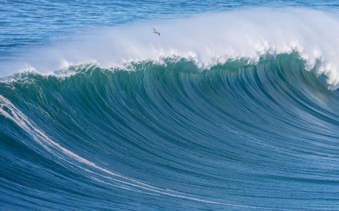 Wave