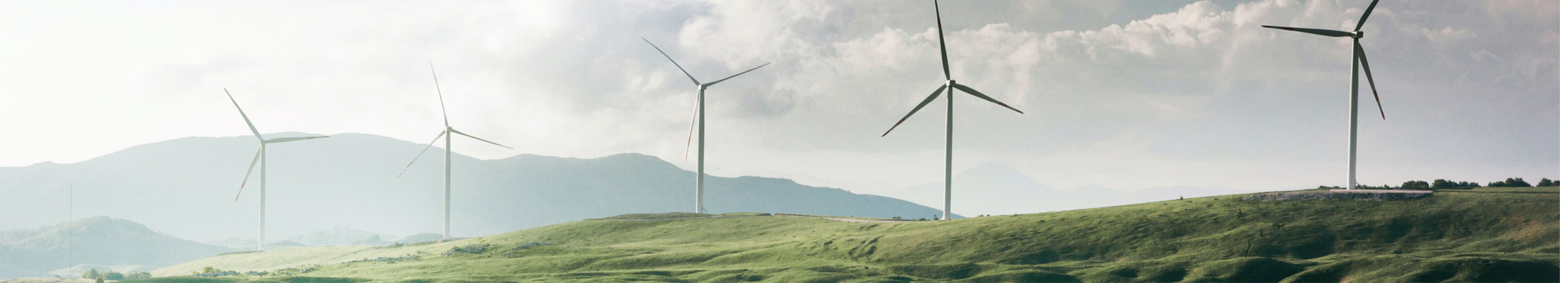 Wind Turbines in a Field